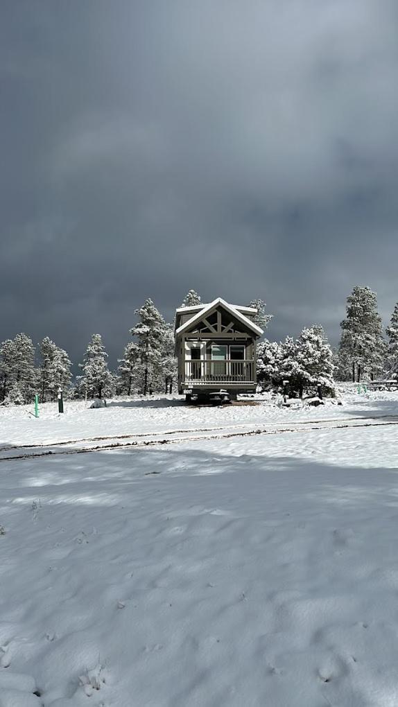 Cozy Cabins By Forest View 3B ウィリアムズ エクステリア 写真